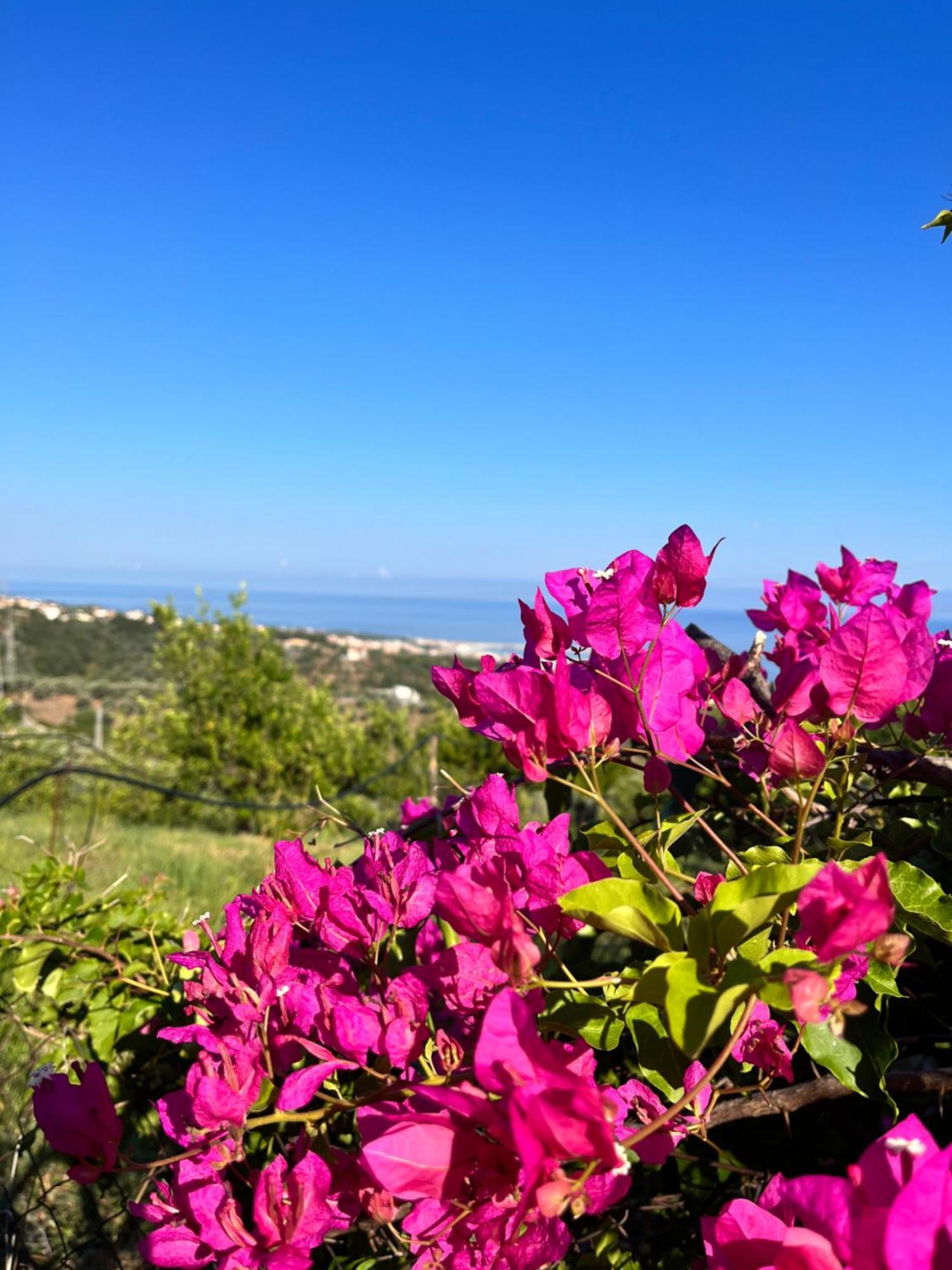 Giardino Di Sicilia Guest House Sant'Agata di Militello Exterior photo